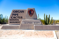 Organ Pipe Cactus N.M.